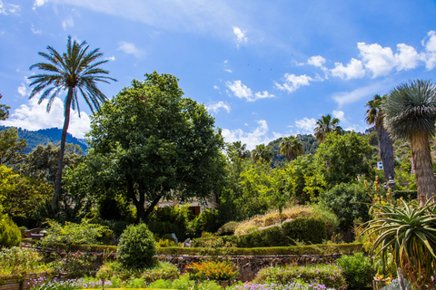 MUCBO | Jardí Botànic de Sóller - Museu Balear de Ciències Naturals (Balearskie Muzeum Nauk Przyrodniczych)