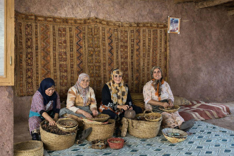 Marrakech: Ourika Valley, Waterfalls Private Trip with Lunch