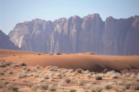 Amman: Petra & Wadi Rum overnight at Camp