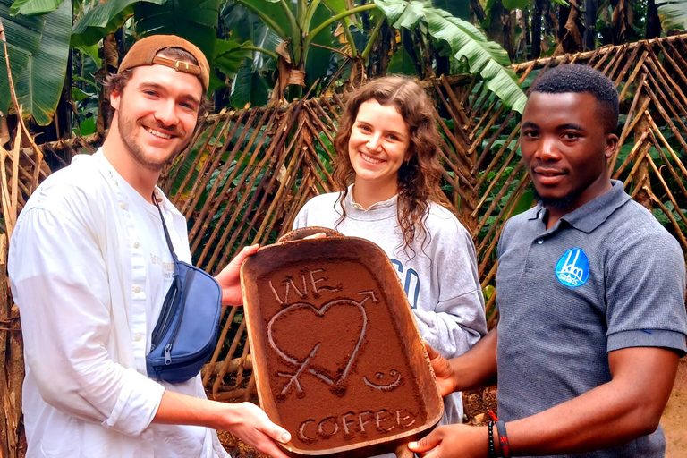 Materuni: Tagestour zu den Wasserfällen und zum Kaffee