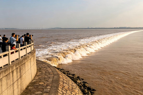 Hangzhou Qiantang River Tidal Bore Tour Qige Zhutoujiao Ba — Dam-Hitting Surge & Mighty Return