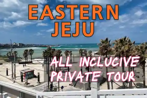 JEJU ORIENTALE: Tour privato tutto incluso con spettacolo di Taekwondo