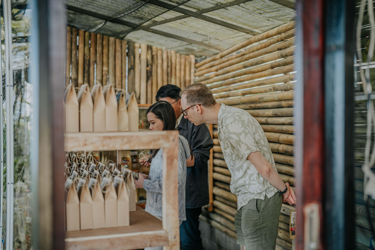 Bali: Private Shore Excursion from Celukan Bawang Port Best Asian Tour Picks – Shared Experiences ( Full Day )