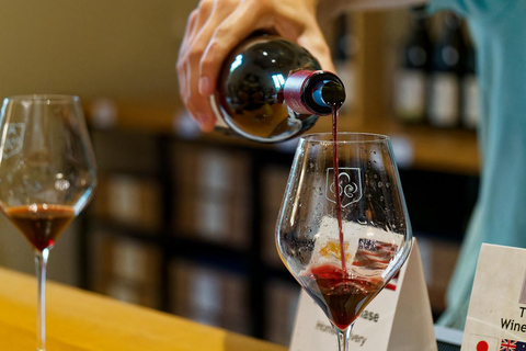 Aix-en-Provence: Rosé & Côtes de Provence Wine Tour