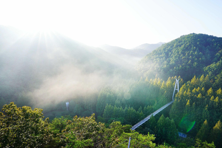 From Seoul: Jeonju Hanok Village & Jangtaesan Day Trip Hongik Univ. Station Exit 4