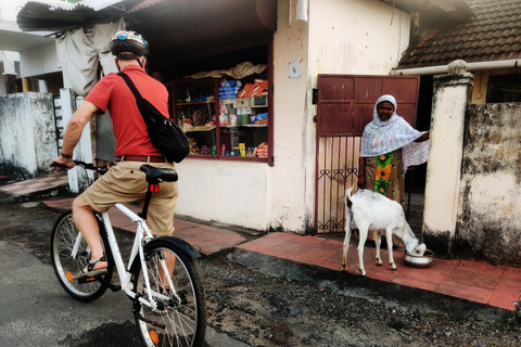 Passeio de bicicleta pelo Bom Dia Kochi