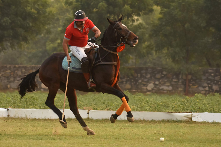 Avventura a cavallo a Jaipur