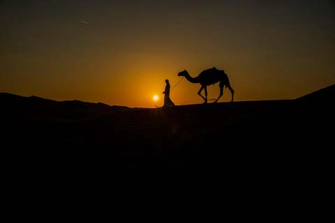 Pod arabskimi gwiazdami: Doha Night Desert Safari Adventure