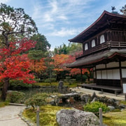 T19 Kyoto: Ginkakuji, Philosopher's Path, & Temple Tour T19 Kyoto: Ginkakuji, Philosopher's Path, & Temple Tour