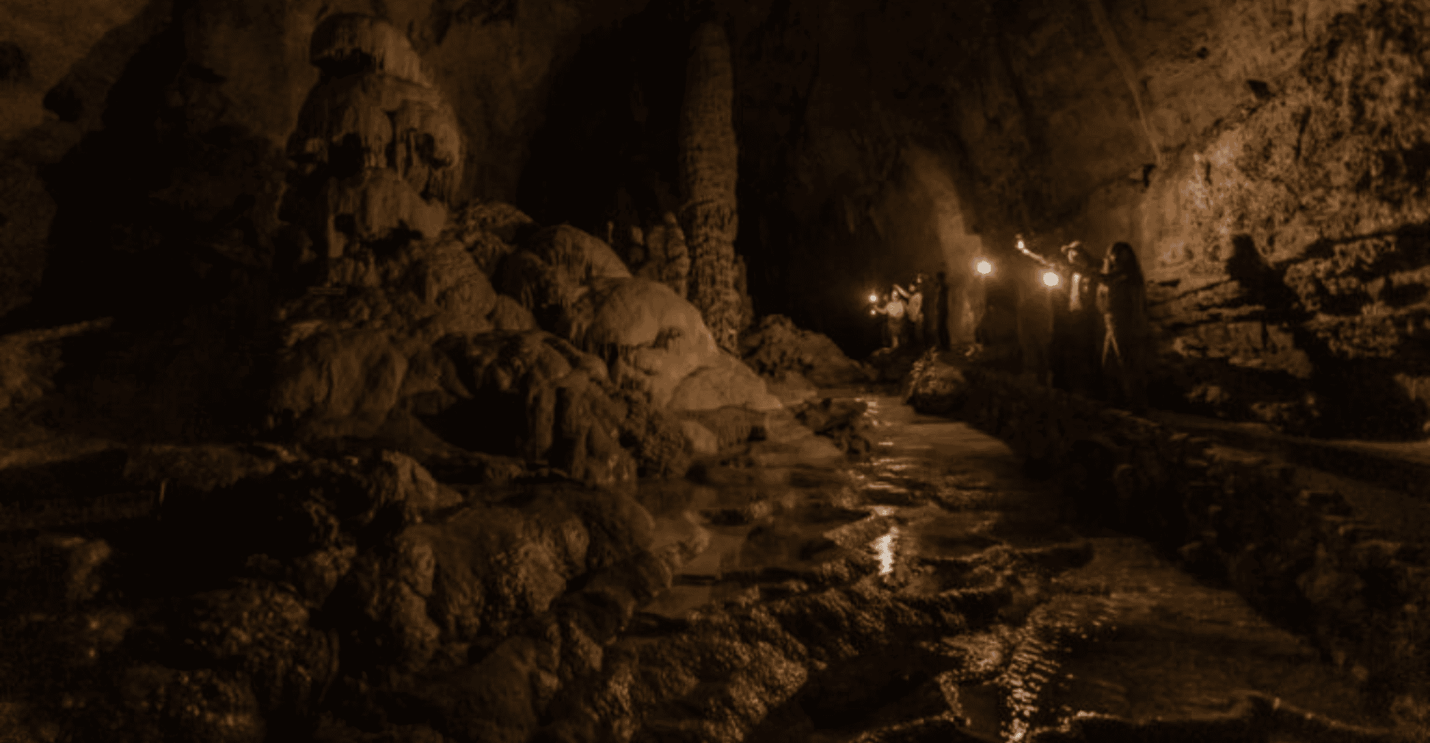San Antonio: Discovery Tour at Natural Bridge Caverns photo 6
