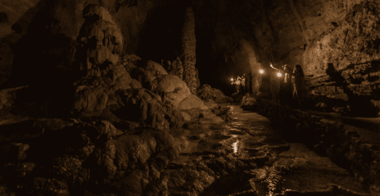 San Antonio: Discovery Tour at Natural Bridge Caverns photo 6