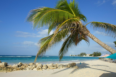 Saint John: Horseback Ride with Beach & Countryside Options 1-Hour Coastal Countryside Ride