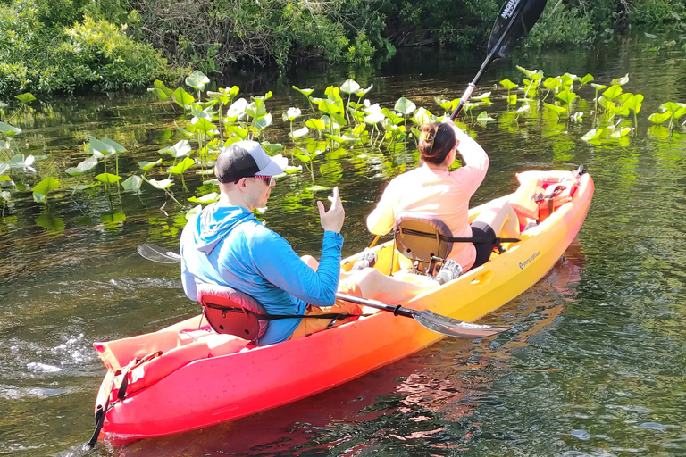 Orlando: Blue Springs Manatee Kayak Tour