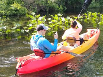 Orlando: Excursión en kayak para ver manatíes en Blue Springs