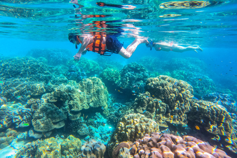 Ko Lanta: Passeio de barco de cauda longa pelas ilhas com almoço buffet