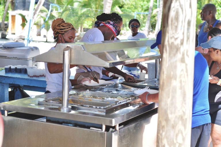 Punta cana: Saona Island and natural pool experience