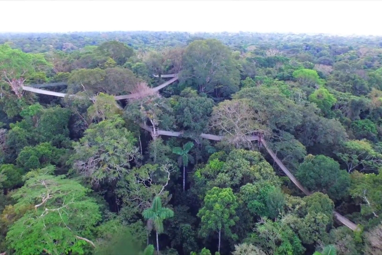 Extreme Adventure I – Iquitos | Suspension Bridge + Canopy