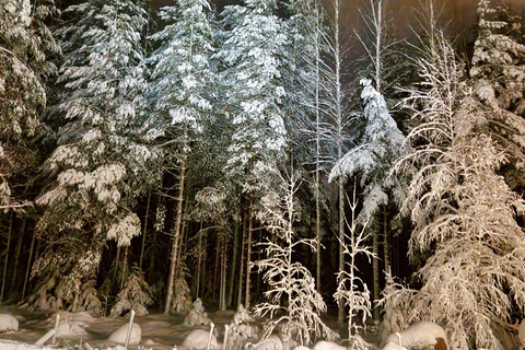 Helsinki: Guided Nature Experience with Campfire and Meal Private Experience from Helsinki