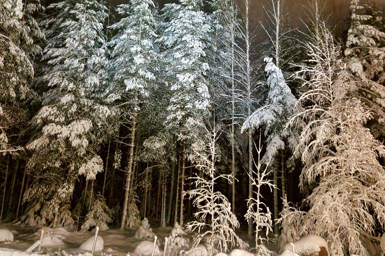 Helsinki: Guided Nature Experience with Campfire and Meal Private Experience from Helsinki