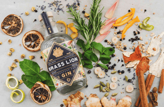 Singapur: Tour durch die Brass Lion Gin Distillery