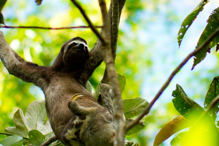 De Iquitos: Viagem de 1 dia à Reserva Nacional Pacaya Samiria