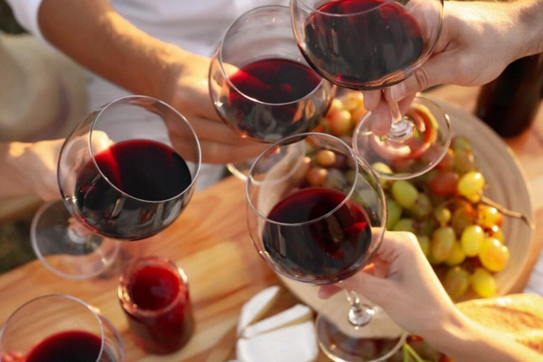 Ljubljana: Wine tasting tour