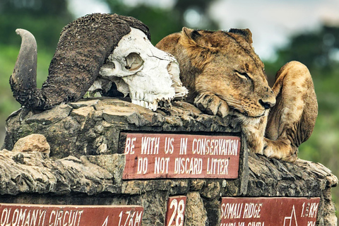 Nairobi National Park: Photography-Focused Safari