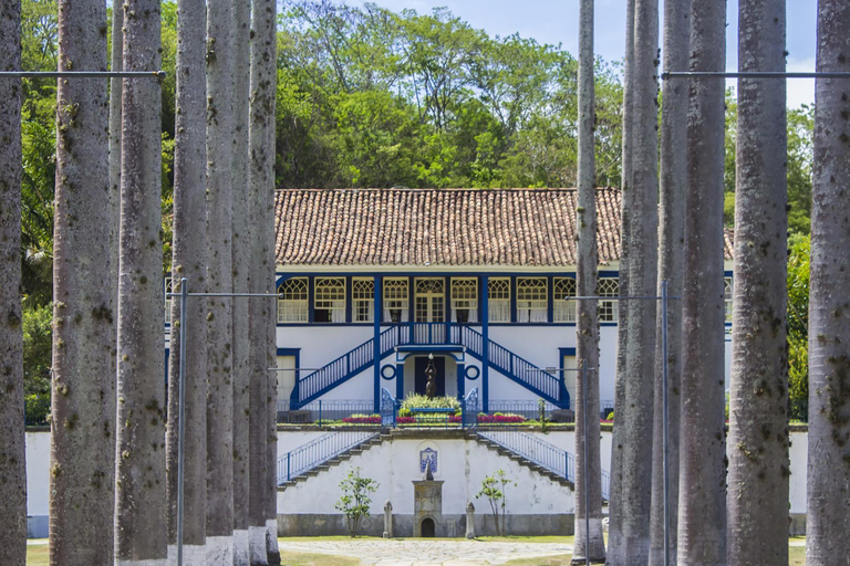 Rio de Janeiro: Coffee Farm Tour with Tasting