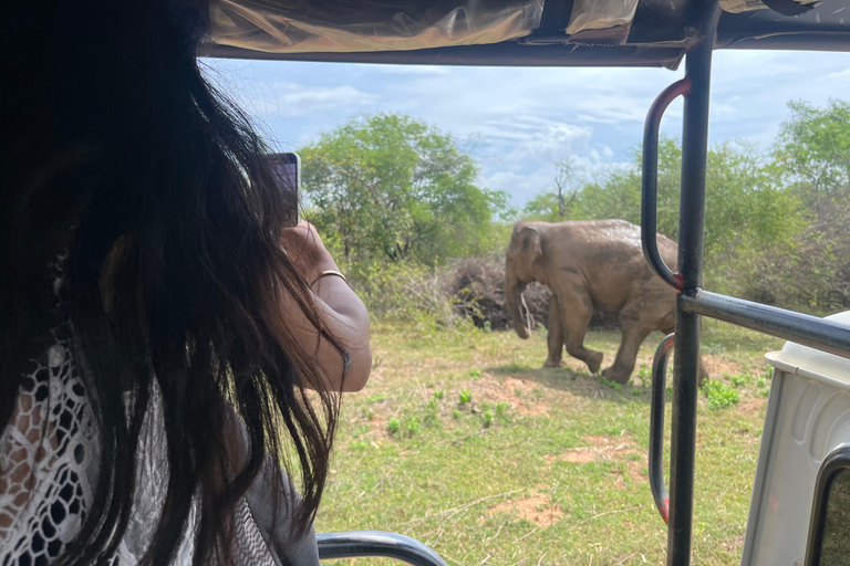 Safari dans le parc national d'Udawalawe au départ de Mirissa