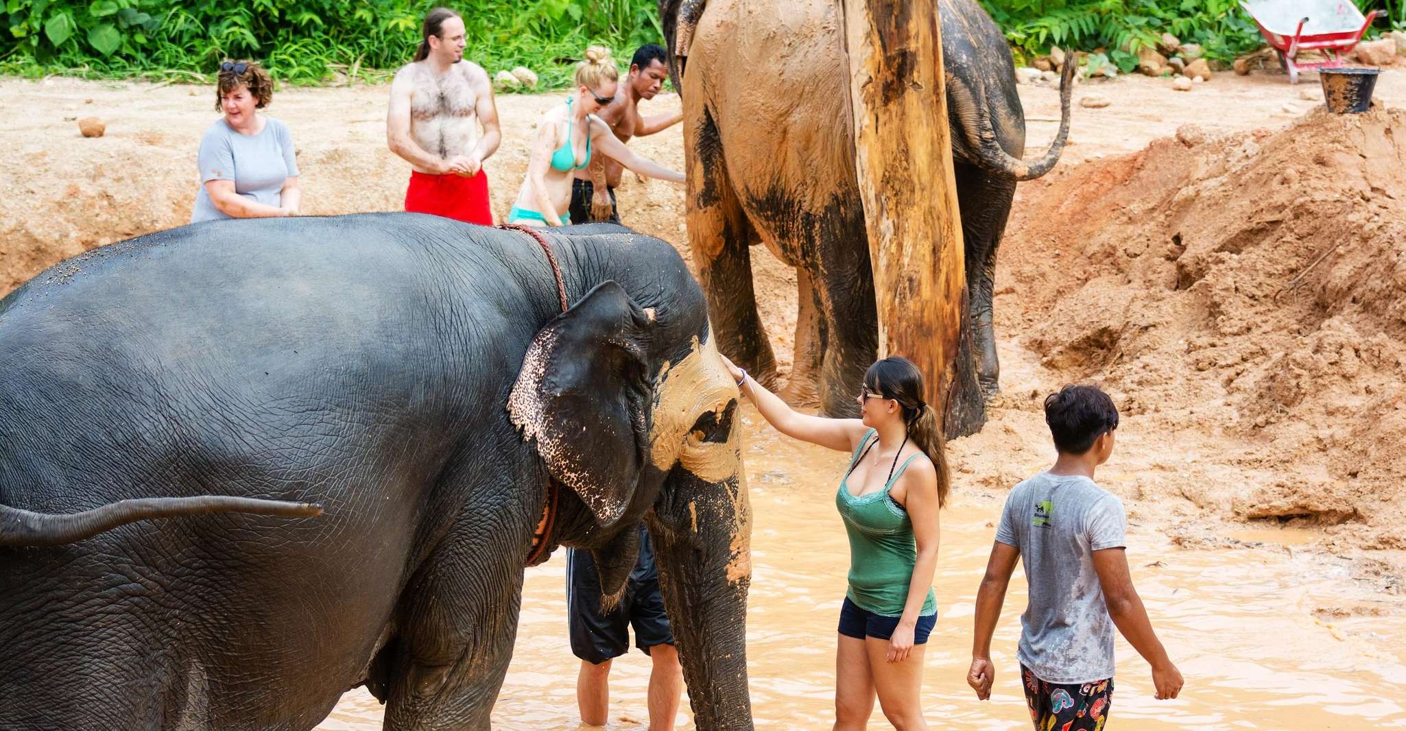 Phuket: Phuket Elephant Sanctuary, Wat Chalong & more