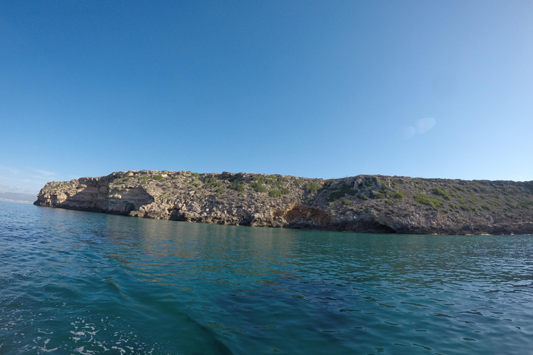 A partir de Can Pastilla : Excursion en bateau à voile avec repas et boissons