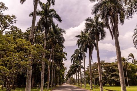 São Paulo: São Paulo Botanical Garden Entry Ticket