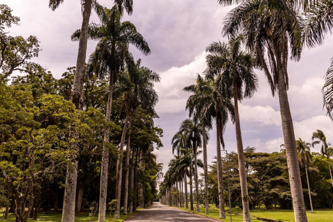 São Paulo: São Paulo Botanical Garden Entry Ticket