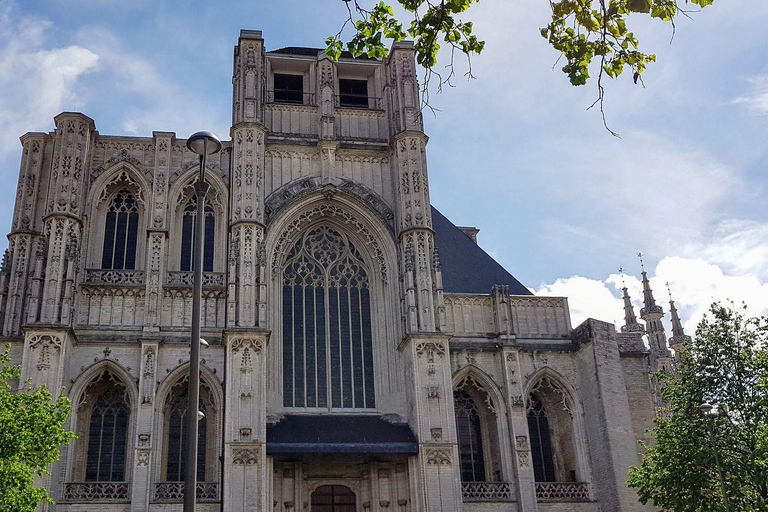 Leuven Private Walking Tour