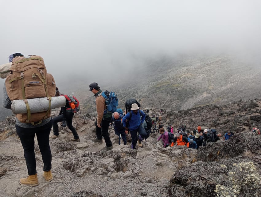 Kilimanjaro Trek: 10-day Plan - Lemosho Route. | GetYourGuide