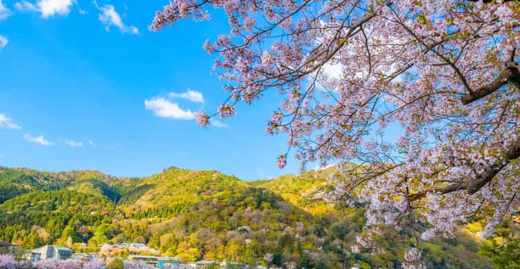 Kyoto/Osaka: Nara, Fushimi Inari Taisha, Arashiyama Bus Tour photo 2