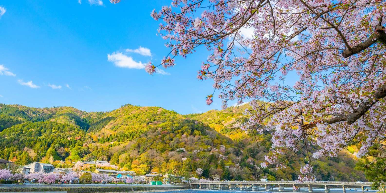 Kyoto experience — temples, geisha, bamboo grove — image 1