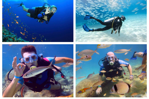 Antalya / Kemer : Scuba Diving Experience for Beginners Meeting at Kemer Harbour ( No Transfer )