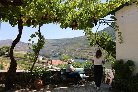 From Porto: 2 Boutique Wineries w/ Winery Lunch & 1-h cruise Tour in English