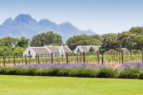 Desde Ciudad del Cabo: tour privado guiado de Winelands con recogidaTour privado guiado de Winelands con recogida en el hotel