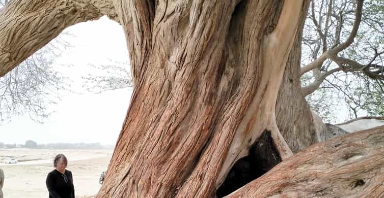 Bahrain: Tree of Life & Desert Heritage Bus Tour photo 10
