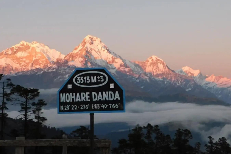 Pokhara: Mohare Danda Community Eco Sunrise Trek with Guide