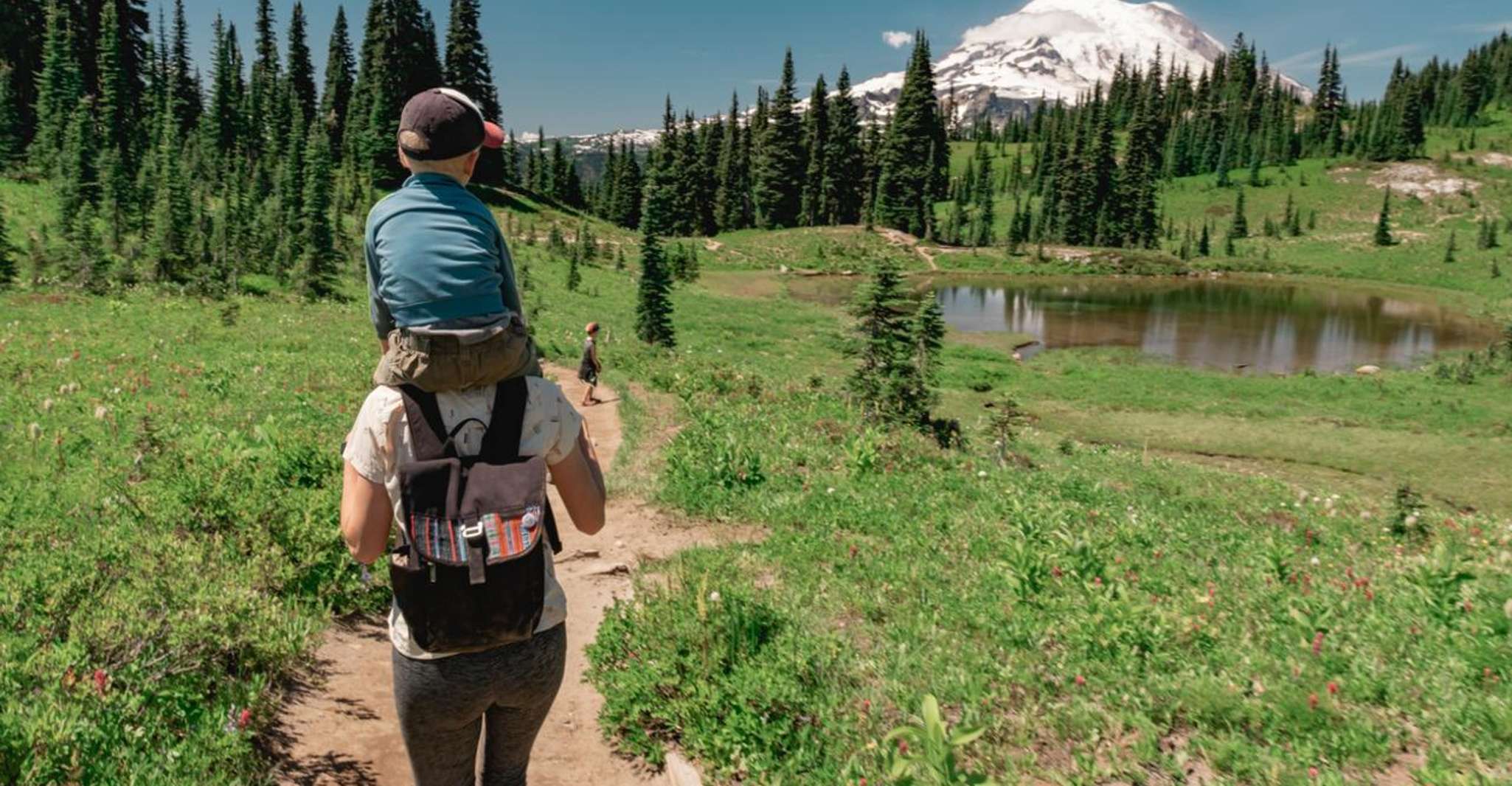 Mount Rainier National Park,Nature, Waterfalls,and Wildlife, Seattle ...