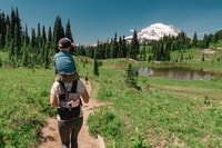 Mount Rainier National Park,Nature, Waterfalls,and Wildlife - Housity