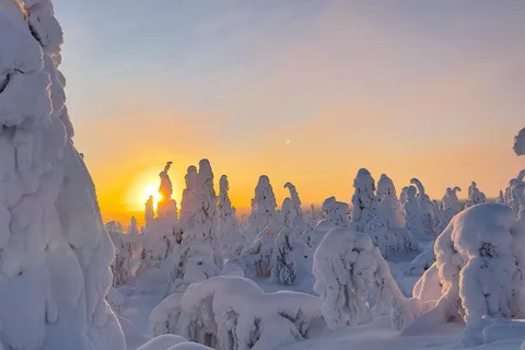 Ruka: Park Narodowy Riisitunturi z lunchem.