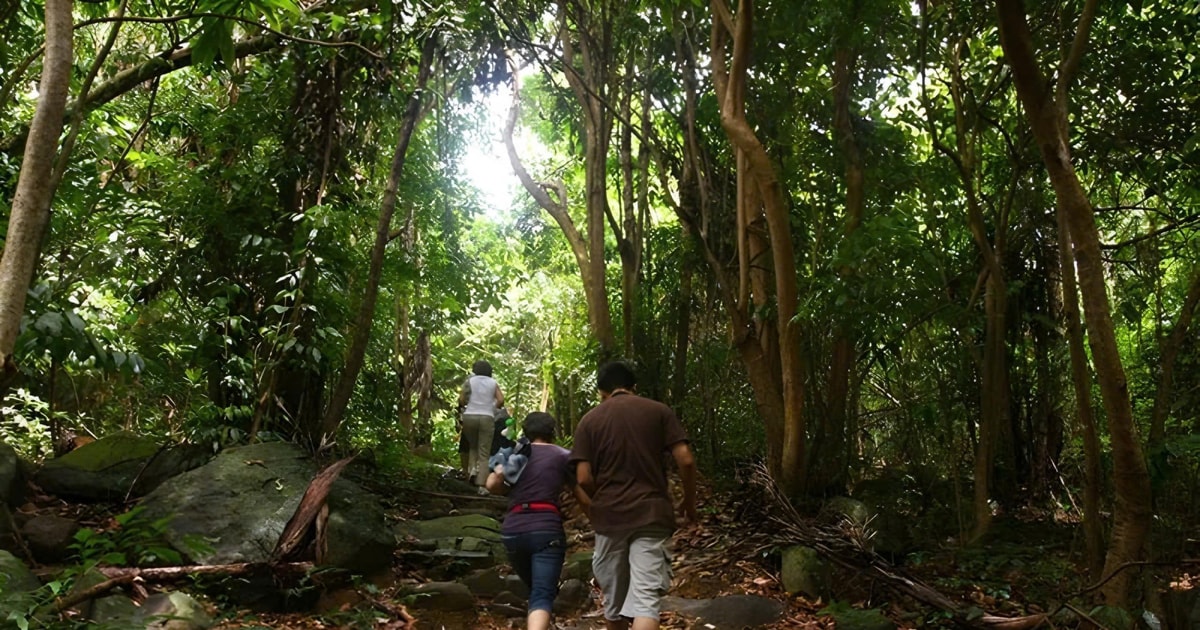 Best Family & Friend Day Trips and Activities in Vietnam 108 Con Dao: Journey Through So Ray – A Natural Wonder