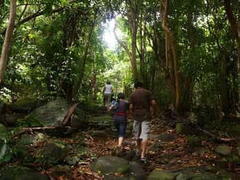 Con Dao: Reise durch So Ray – ein Naturwunder