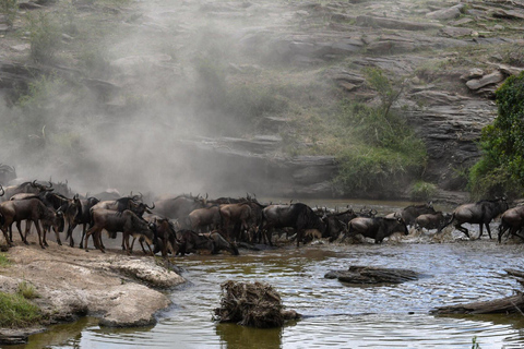 El mejor paquete de safari de 9 días por la vida salvaje de Tanzania