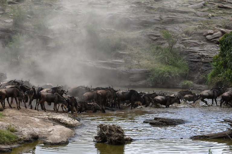 El mejor paquete de safari de 9 días por la vida salvaje de Tanzania