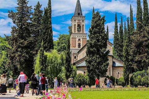 Authentic Georgian Rtveli in Kakheti from Tbilisi